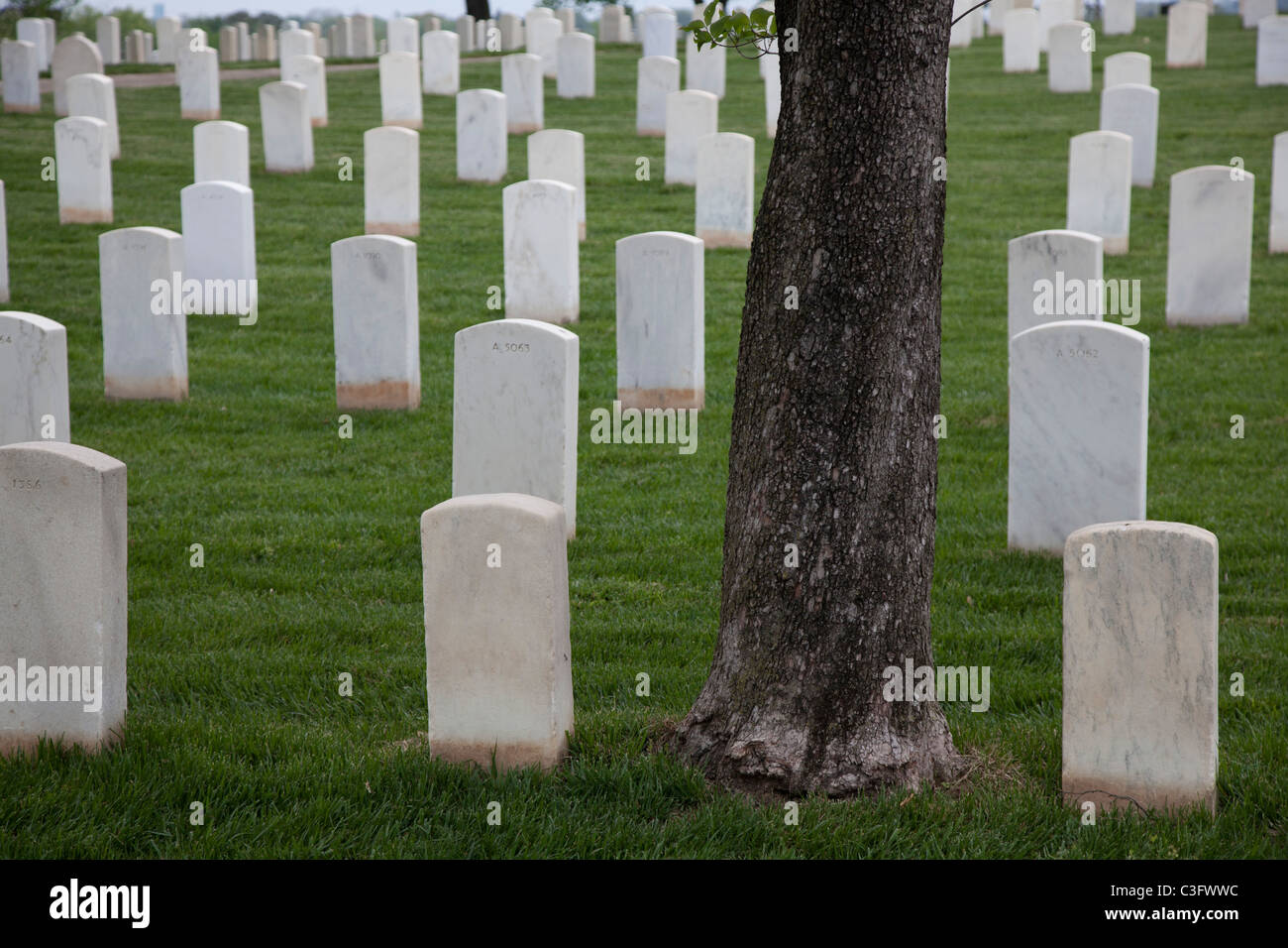 Knoxville, Tennessee - Knoxville Staatsangehörig-Kirchhof. Der Friedhof wurde während des Bürgerkrieges gegründet. Stockfoto