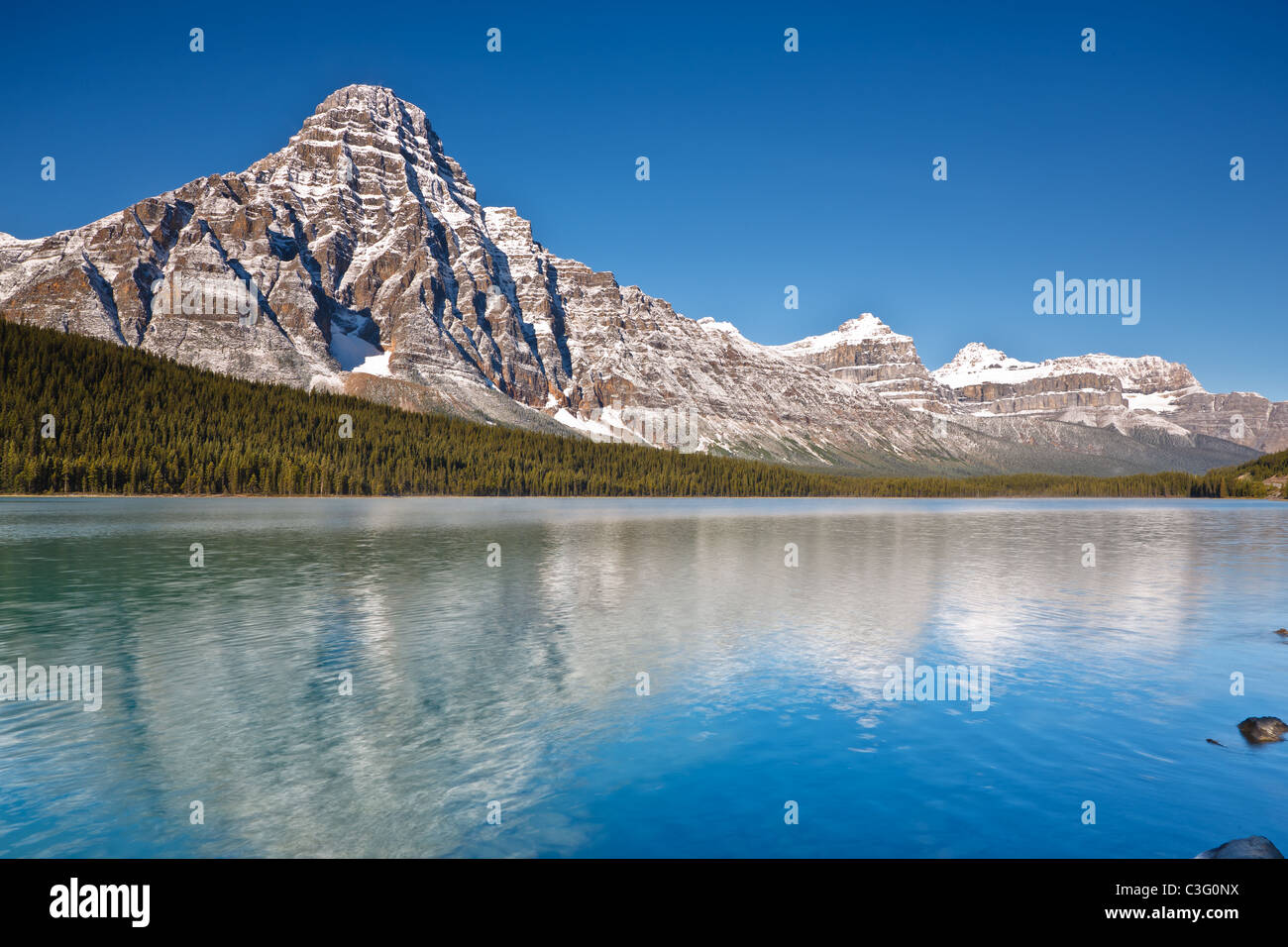 Mount Chephren und Wasservögel See, Icefields Parkway, Banff Nationalpark, Alberta, Kanada Stockfoto