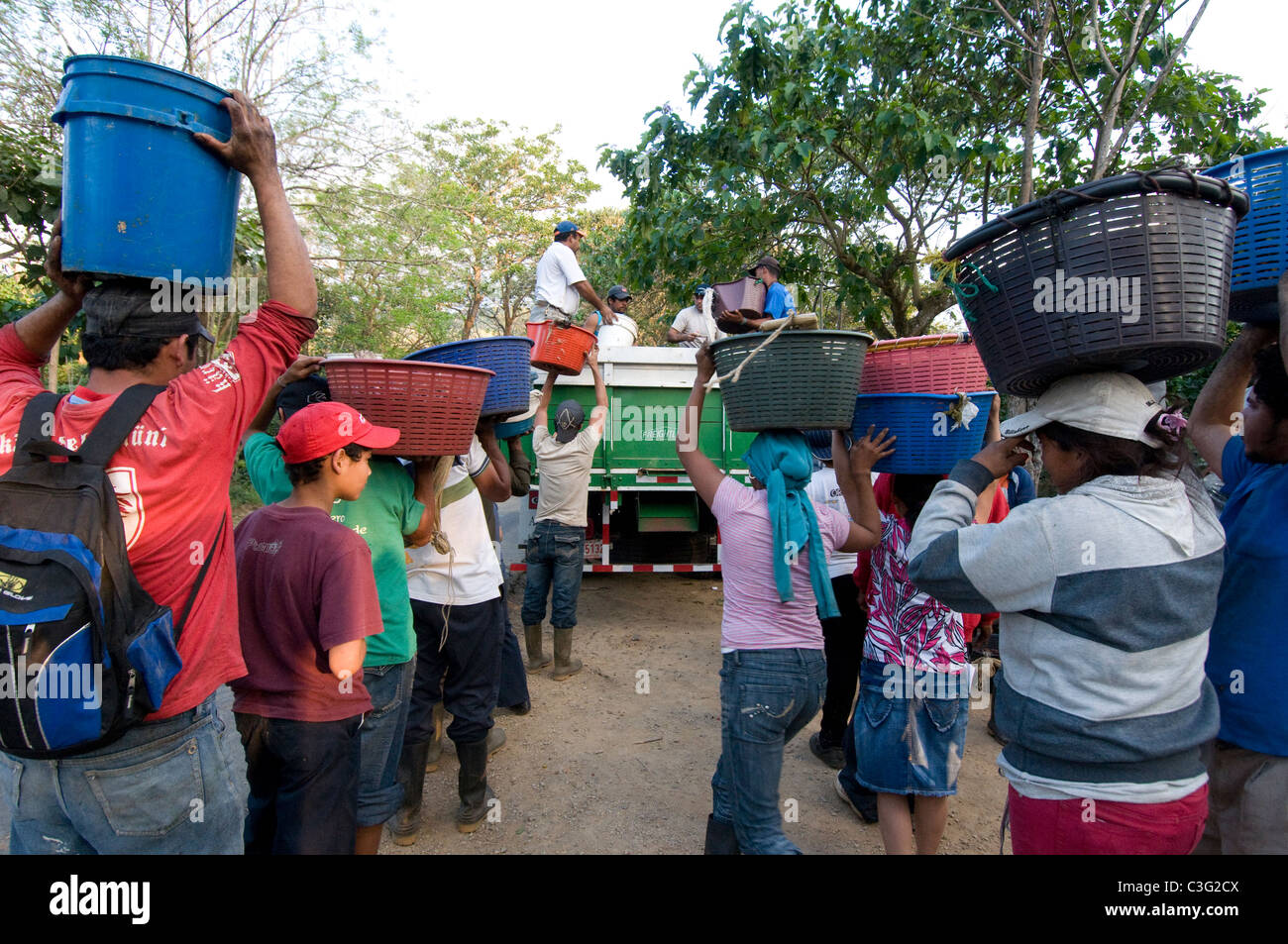 Tägliche Arbeiter pflücken Kaffee in den Hügeln von El Rodeo Zentraltal Costa Rica Stockfoto