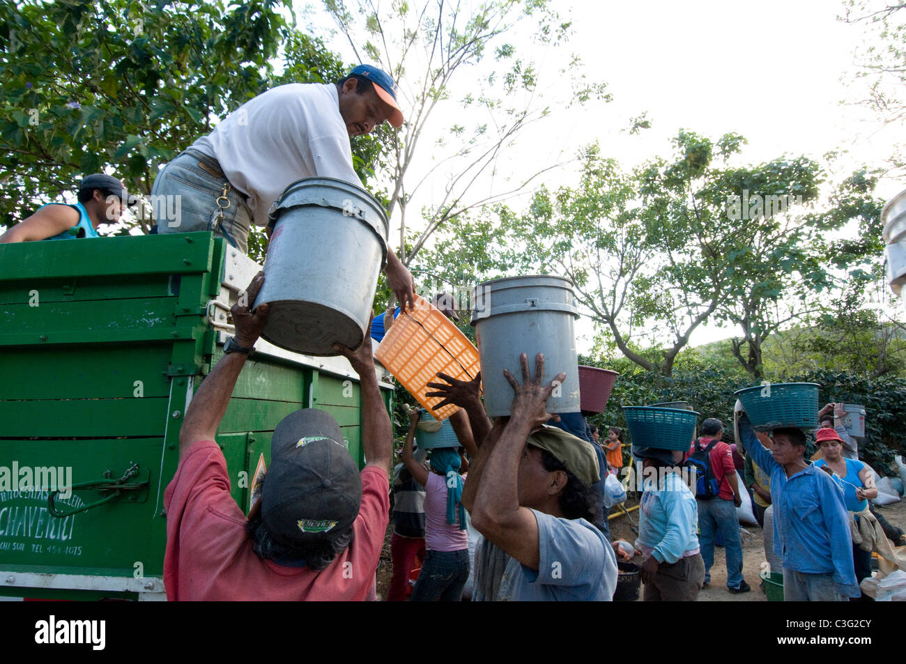 Tägliche Arbeiter pflücken Kaffee in den Hügeln von El Rodeo Zentraltal Costa Rica Stockfoto