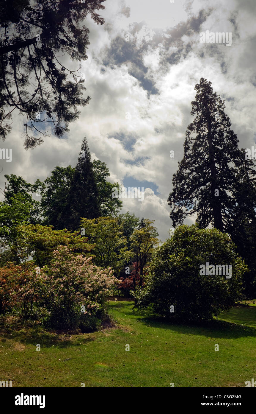 Ein Frühling Landschaft Blick auf Bäume Sträucher und Büsche gegen Wolkenbildung in Langley Country Park Bucks UK Stockfoto