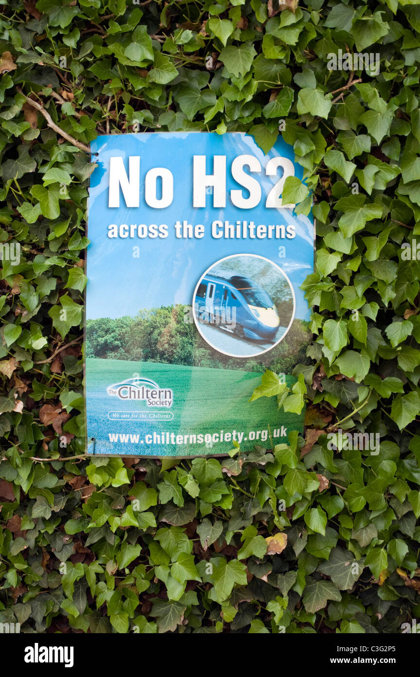 Keine HS2 über Chilterns Protest Hinweis auf ein Efeu-Hecke in Little Missenden Bucks UK Stockfoto