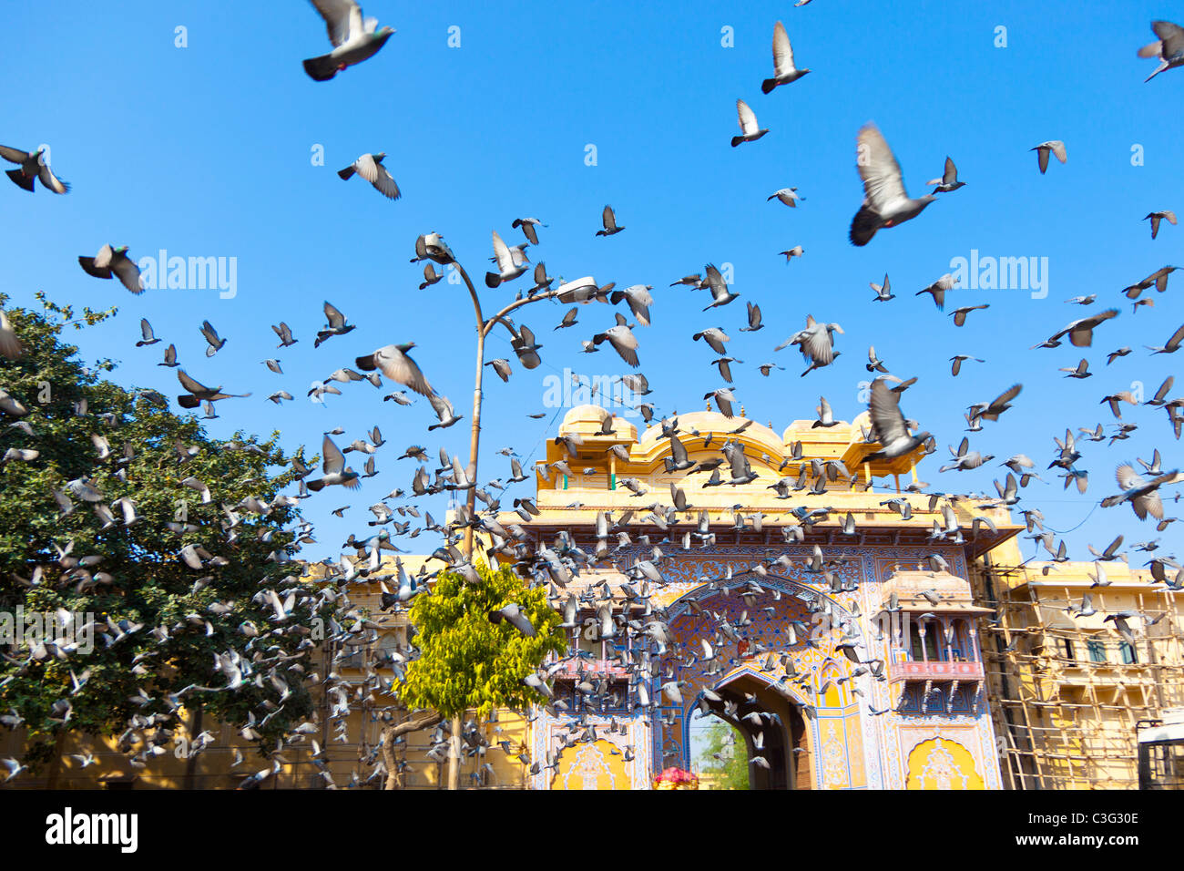 Vögel fliegen über Jaipur Stadtschloss Stockfoto