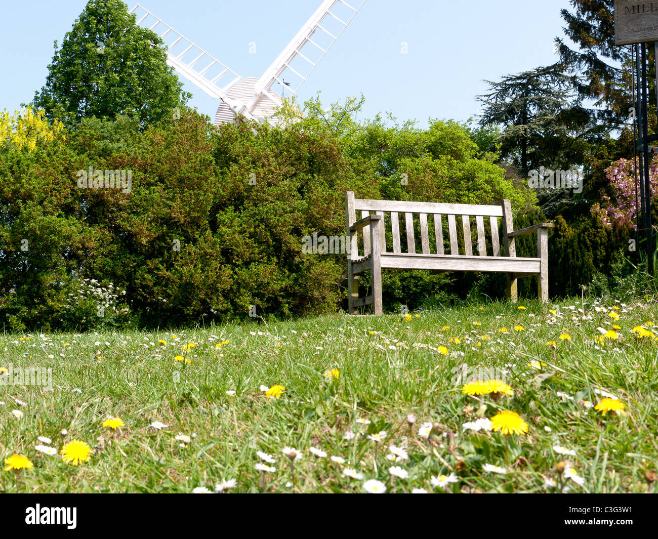 Sitzbank mit der alten Bockwindmühle im Hintergrund in das Dorf Finchingfield, Essex, UK Stockfoto