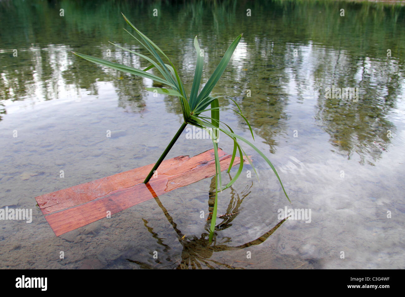 Kinder Boot solchen einsamen Insel Palm Tree Metapher im Fluss-See Stockfoto