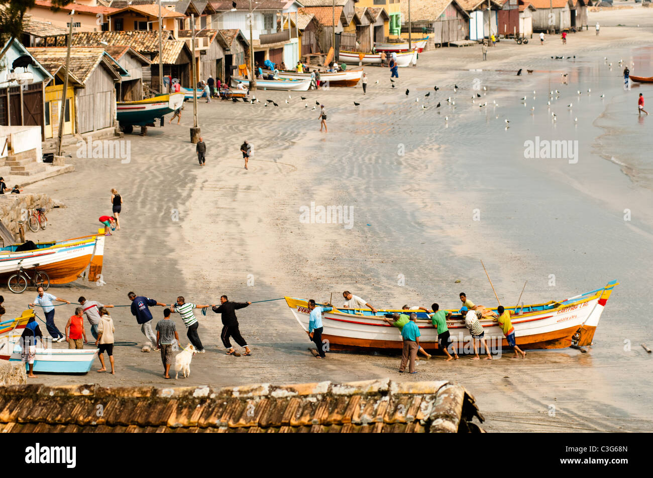 Draufsicht der lokalen Fischer ziehen ihre Angelboote/Fischerboote am Strand von Garopaba, Bundesstaat Santa Catarina, Süd-Brasilien Stockfoto