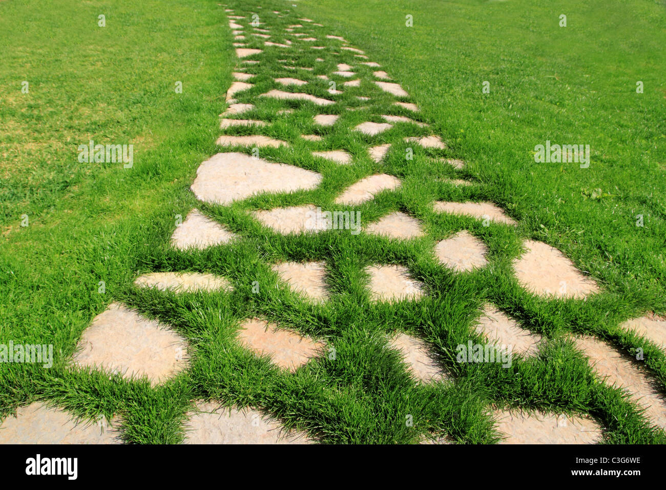 Steinweg in grünen Rasen Garten Textur verschwinden Perspektive