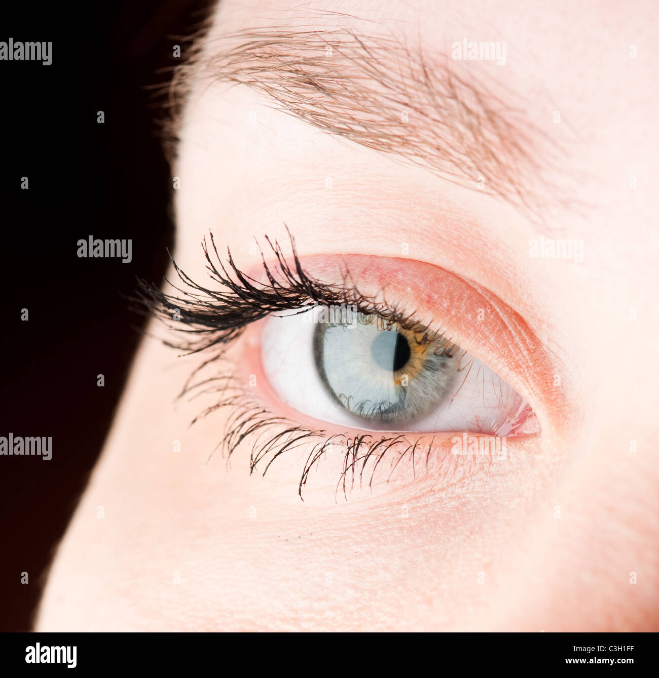 Menschliche Auge. Makro-Aufnahmen Stockfoto