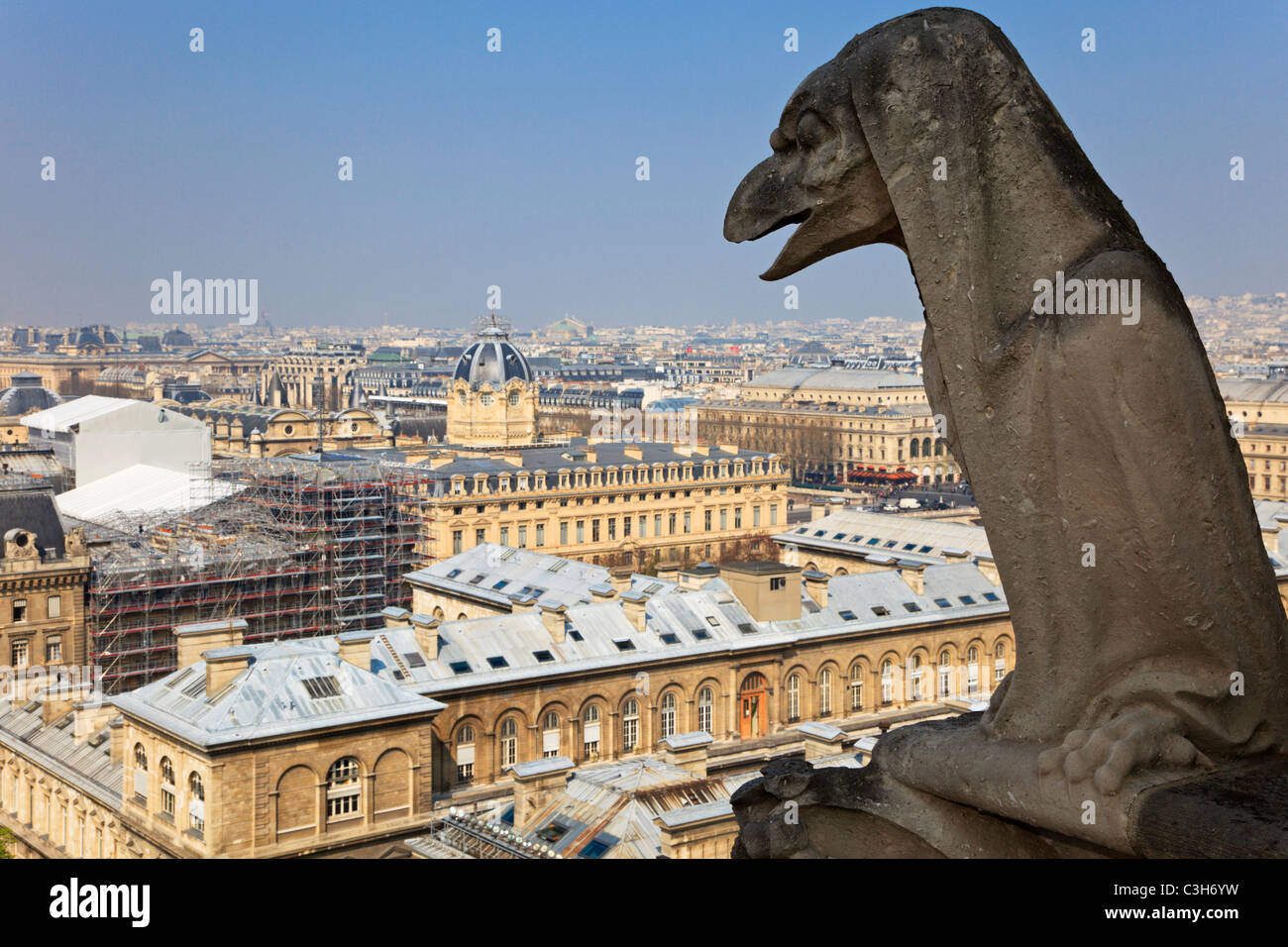 Berühmte Chimäre von Notre-Dame mit Blick auf Paris. Blick von der Spitze der Notre-Dame de Paris, Frankreich. Stockfoto