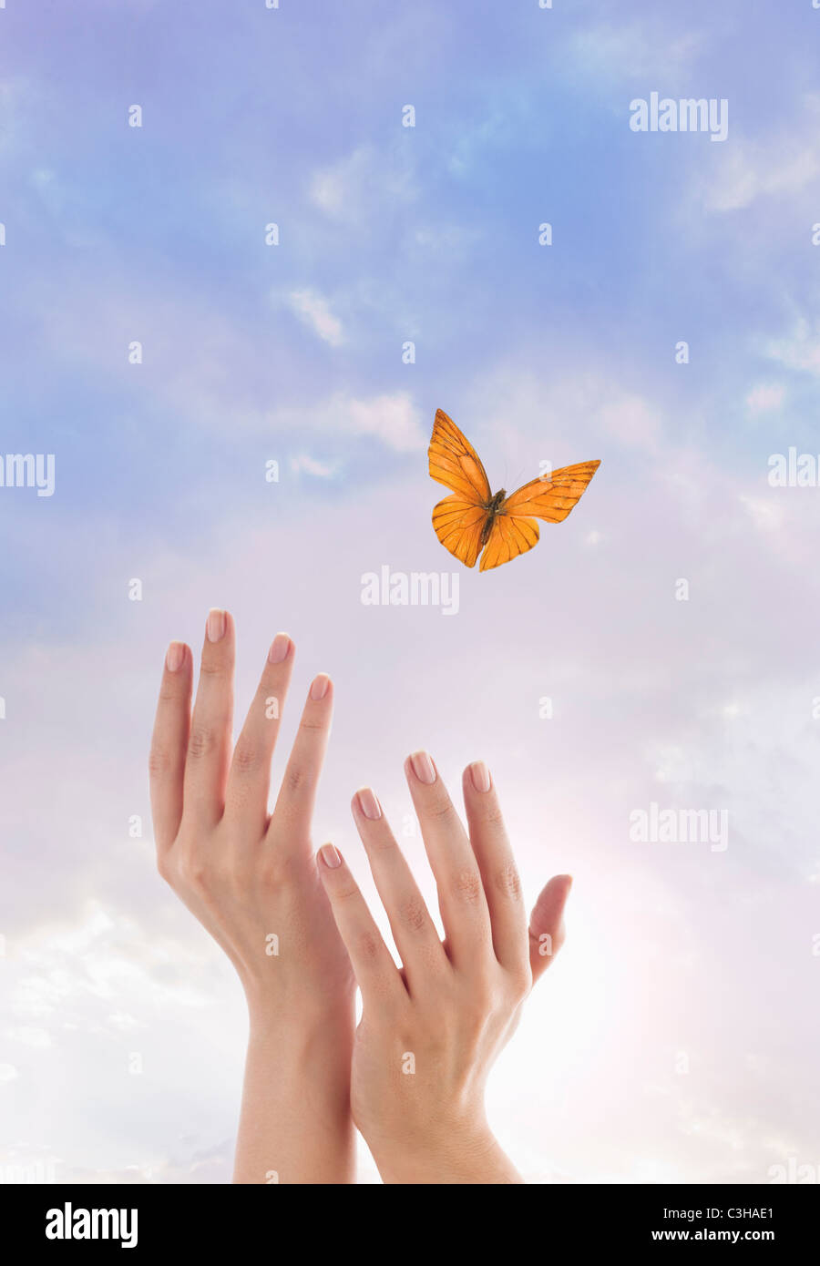 Nahaufnahme eines Weibes Hände und fliegenden Schmetterling gegen blauen Himmel Stockfoto