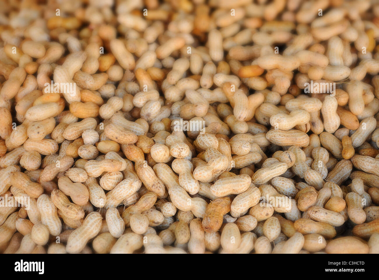 Haufen von Erdnüsse in der Schale mit selektiven Fokus. Stockfoto