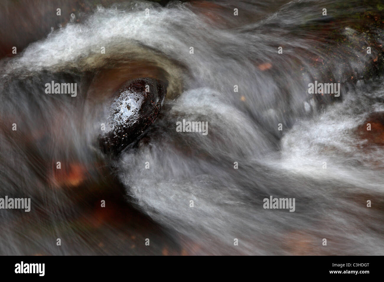 Wasser fließt um einen Felsblock im Barden Beck in der Nähe von Bolton Abbey in Yorkshire, England Stockfoto