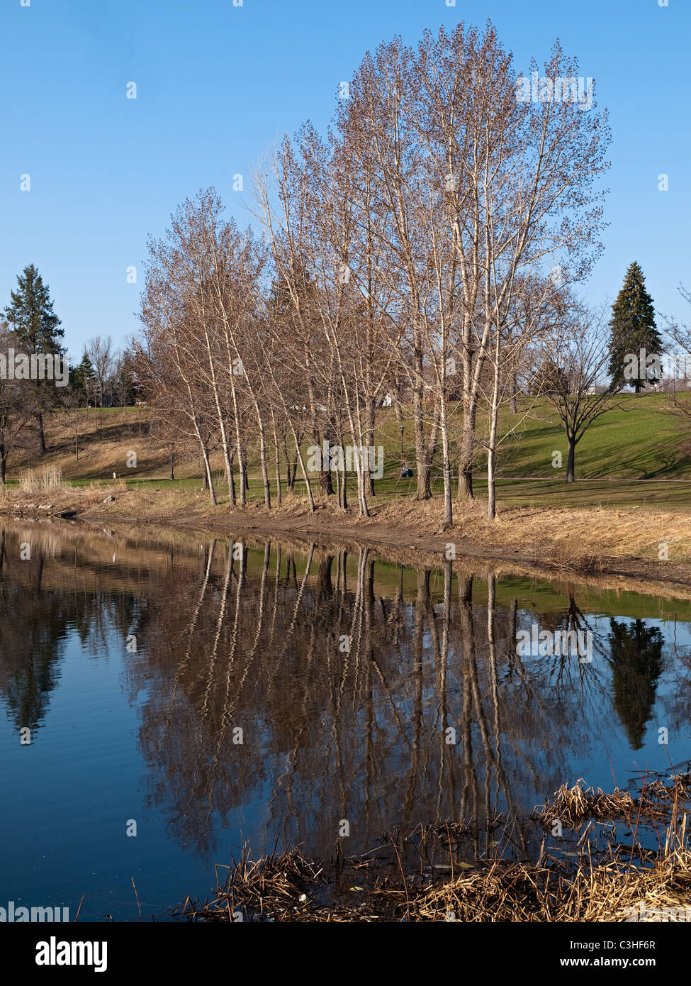 Blick auf das Wasser Spiegelbild am Westende der Powderhorn Lake, Minneapolis, MN - Ende April, 2011 Stockfoto
