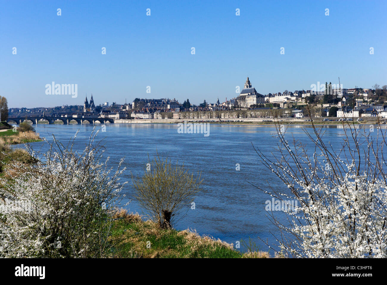 Blick auf die Altstadt vom über der Loire im Frühjahr, Blois, Val de Loire, Touraine, Frankreich Stockfoto