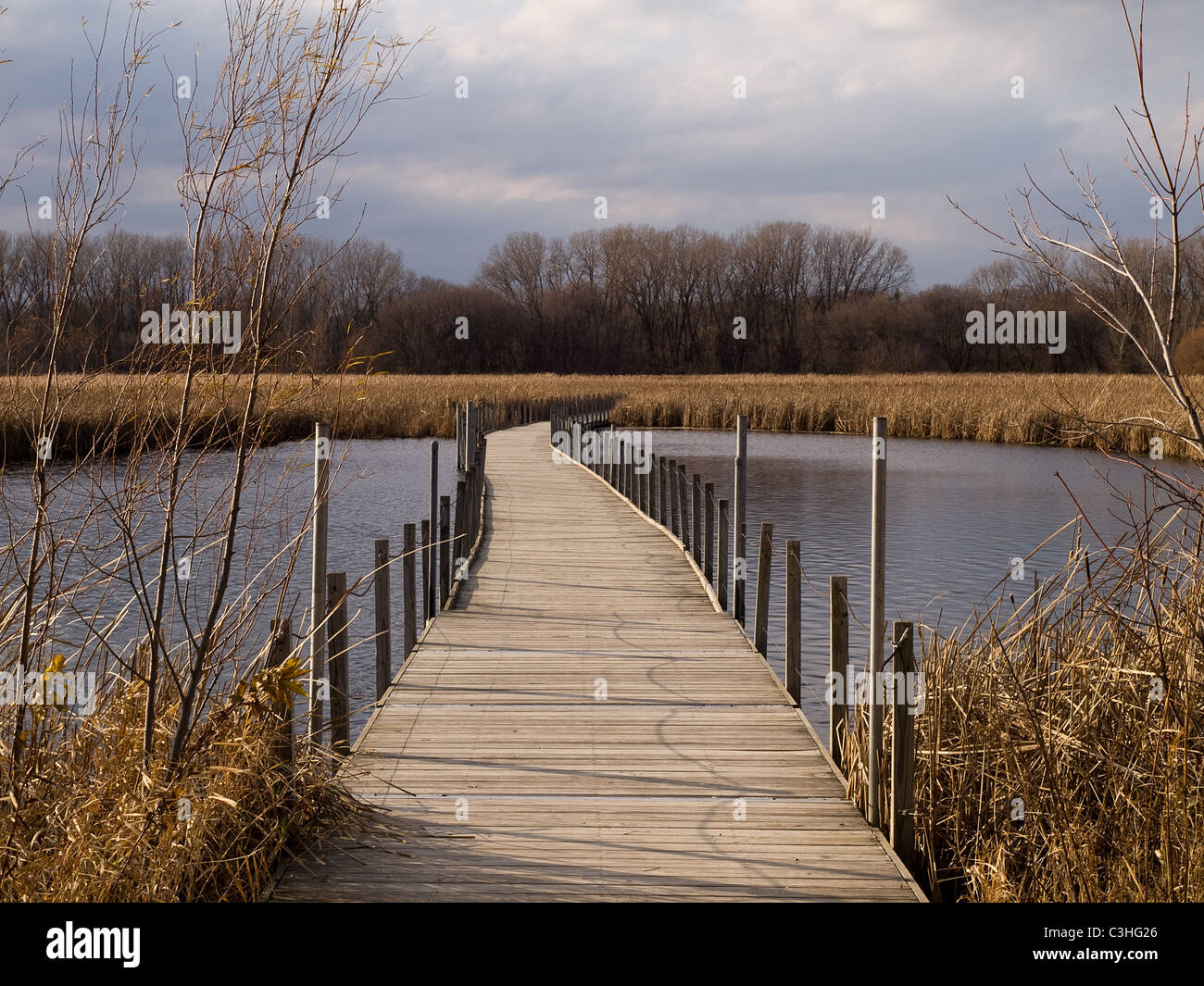 schwimmende Boardwalk am Holz Lake Nature Center, Richfield, MN Stockfoto