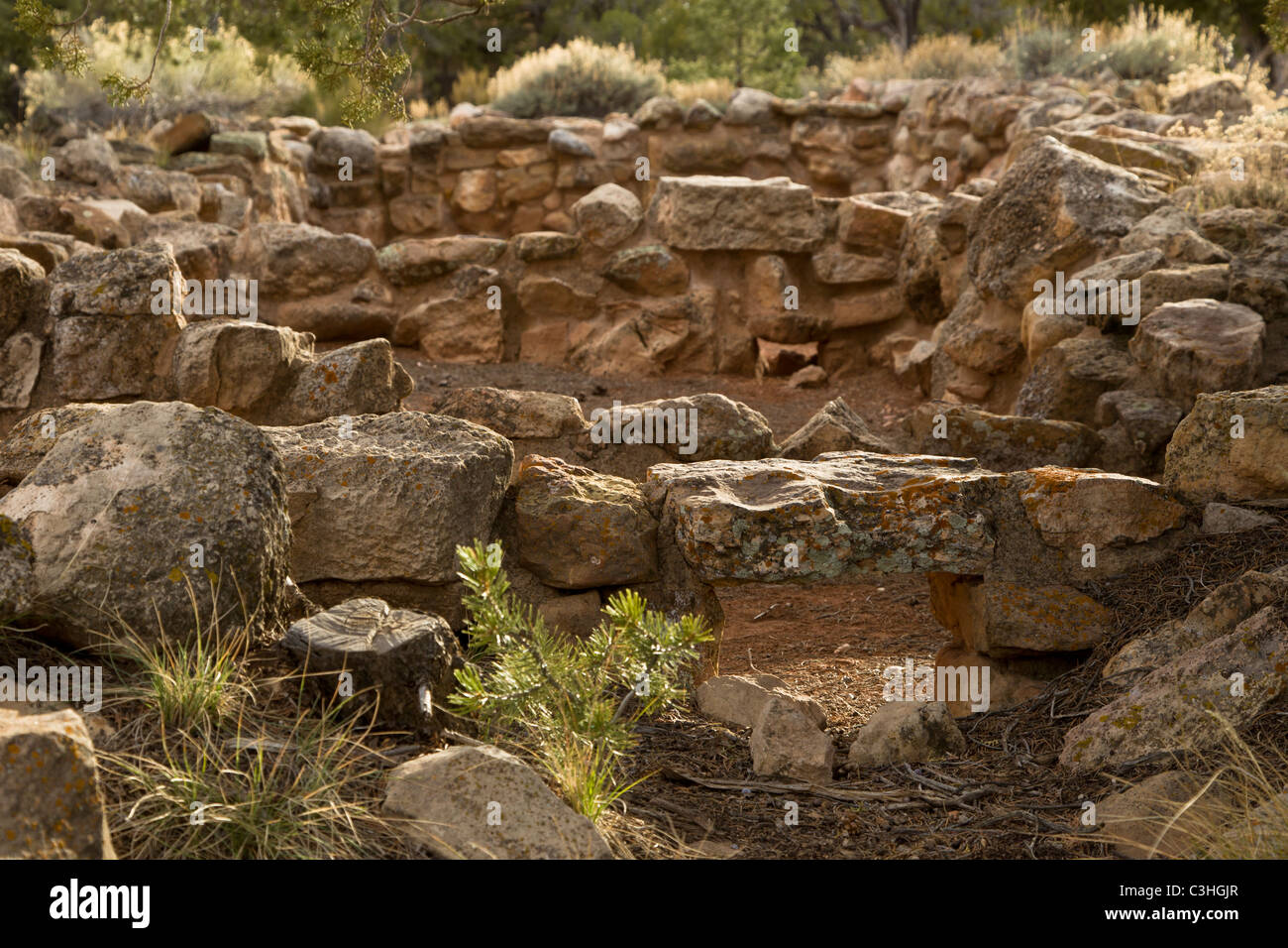 Tusayan Ruins, Kayenta Anasazi Kultur entlang der South Rim des Grand Canyon National Park, Arizona, USA. Stockfoto