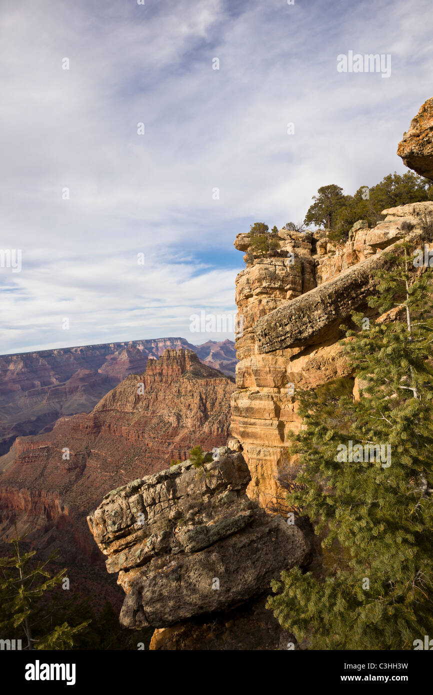 Canyon-Blick vom entlang der South Rim des Grand CanyonNationalpark in Arizona, USA. Stockfoto