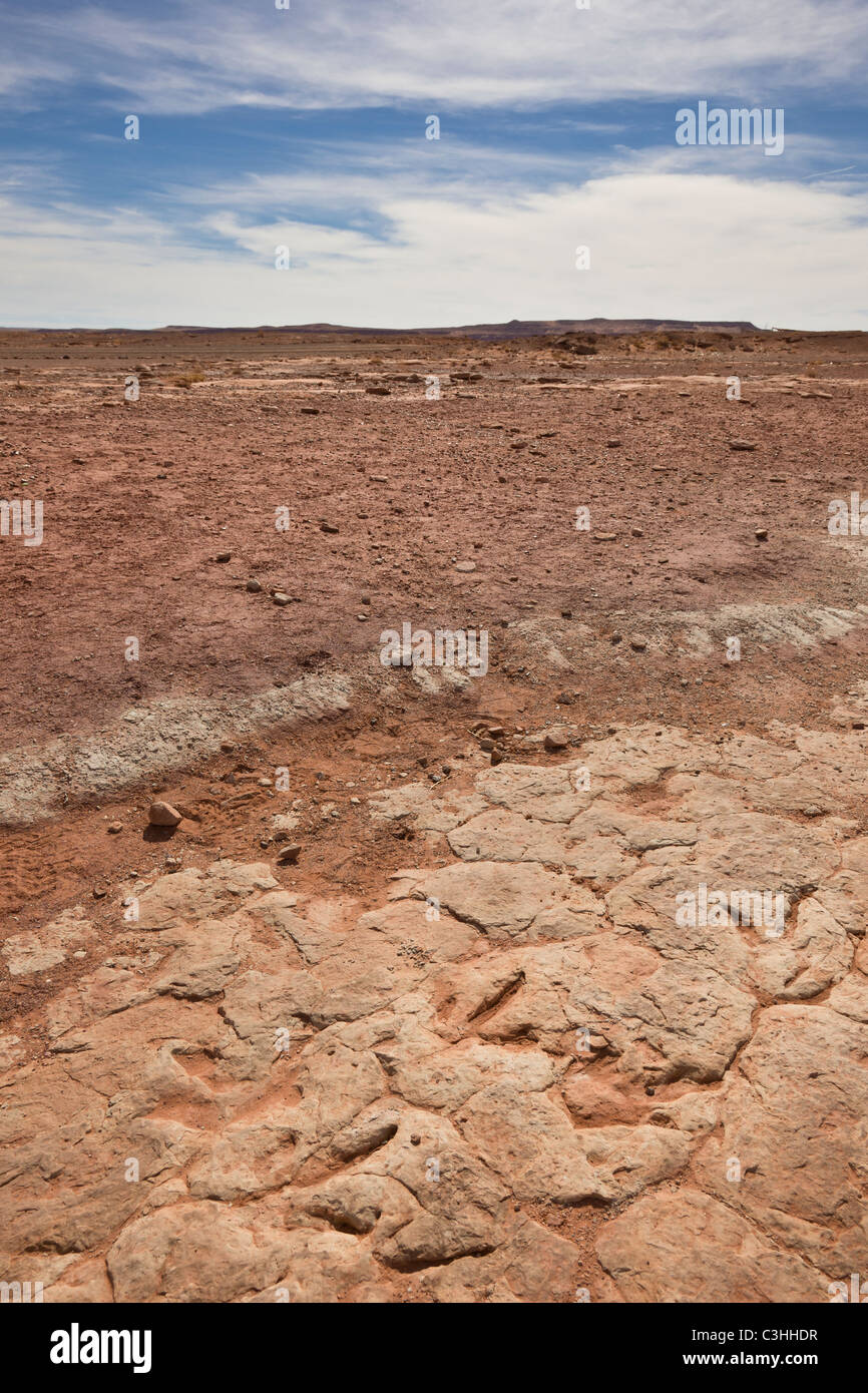 Jura Therapod Spuren, Coelophysis Kayentakatae bei Moenkopi Dinosaurierspuren, Tuba City, Arizona, USA. Stockfoto Jura Therapod Spuren, Coelophysis Kayentakatae bei Moenkopi Dinosaurierspuren, Tuba City, Arizona, USA. Stockfoto