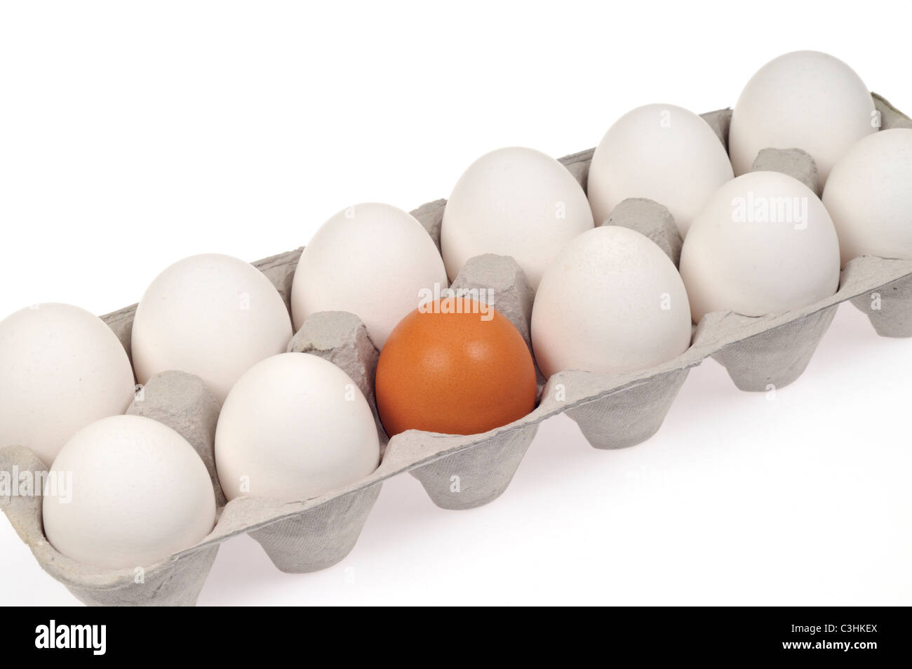 Close-up Konzept geschossen von verschiedenen Auftritten mit 11 weiße Eier und 1 braune Eier im Karton, weisser Hintergrund. Stockfoto