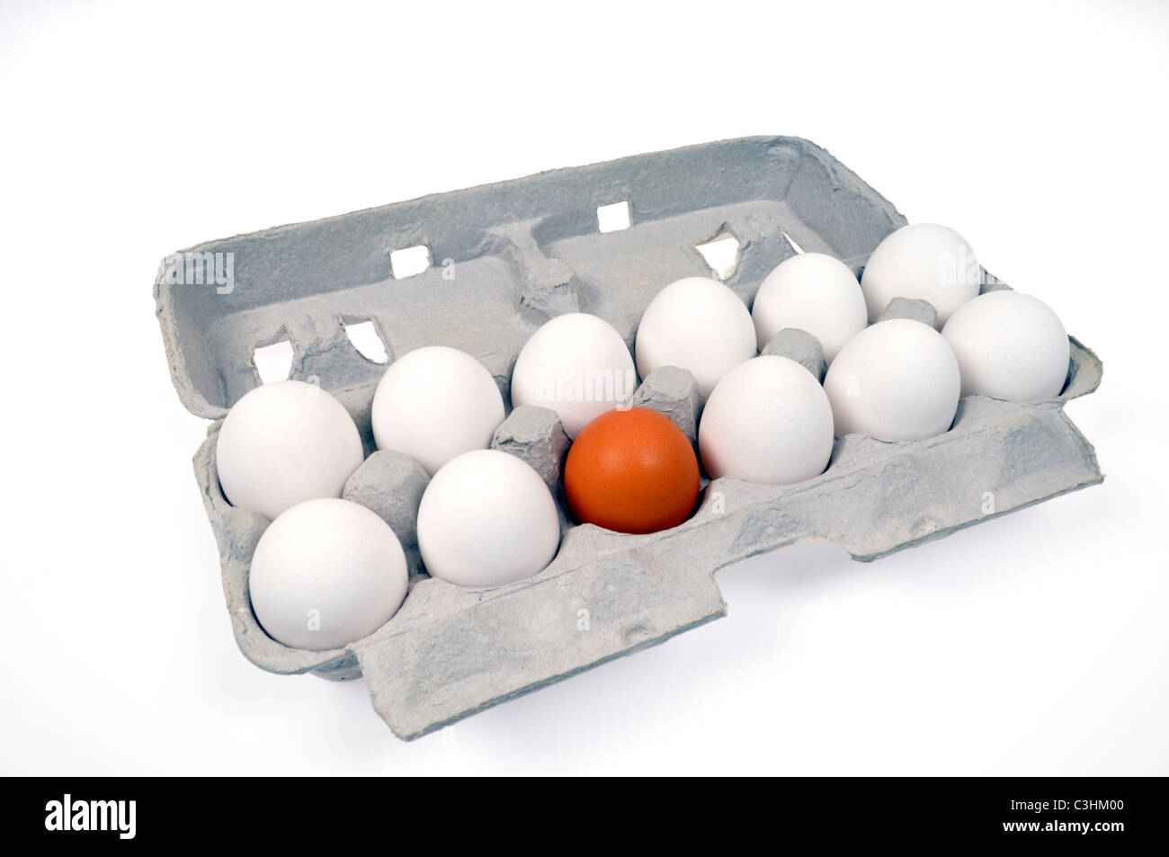 Konzept der Unterschiede im Aussehen mit 11 weißen und 1 braune Eier im Karton, weisser Hintergrund. Stockfoto
