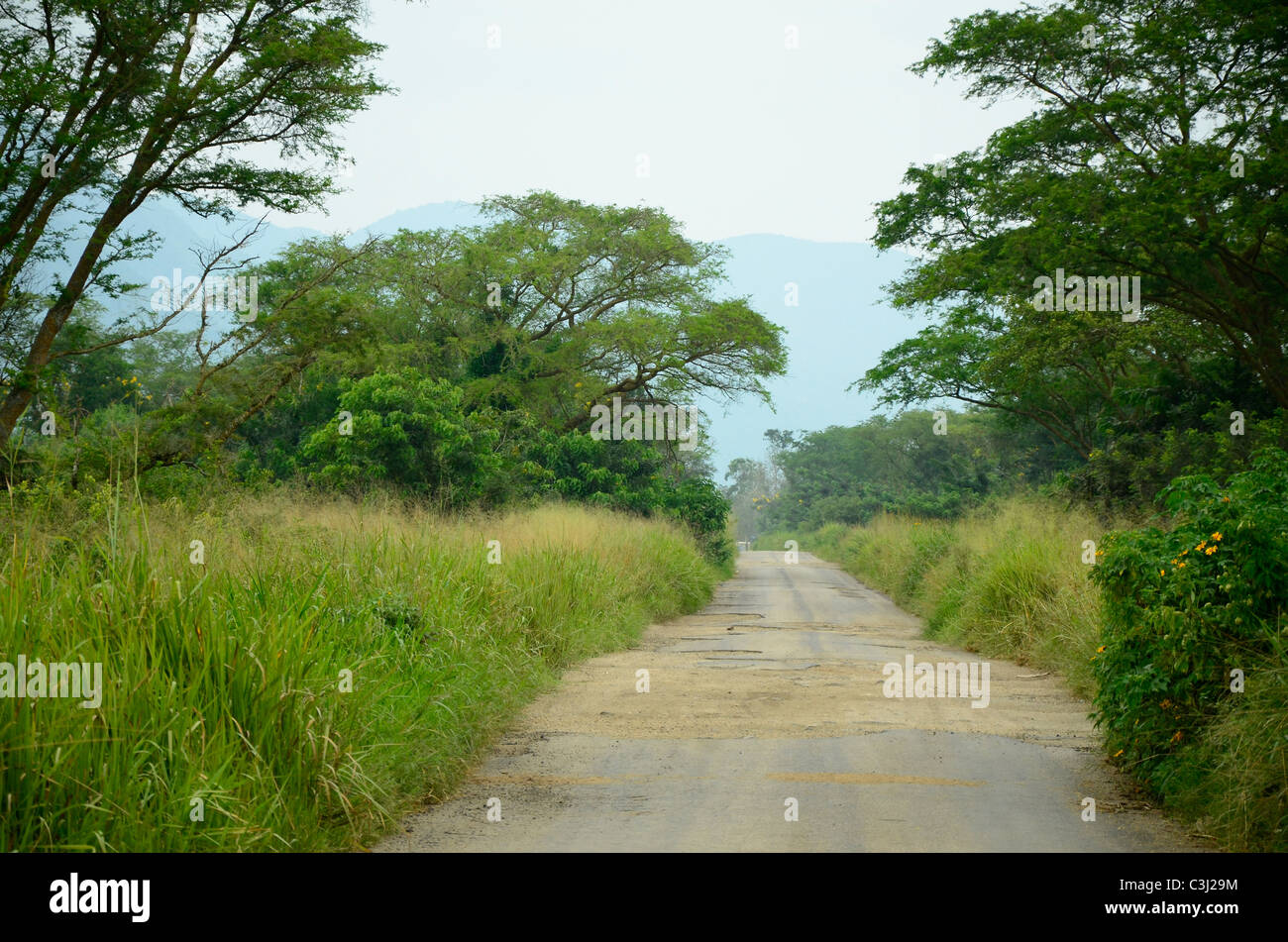 Rebellieren Sie befallene Straße im Virunga-Nationalpark, Osten der Demokratischen Republik Kongo, Zentralafrika in das Great Rift Valley. Stockfoto