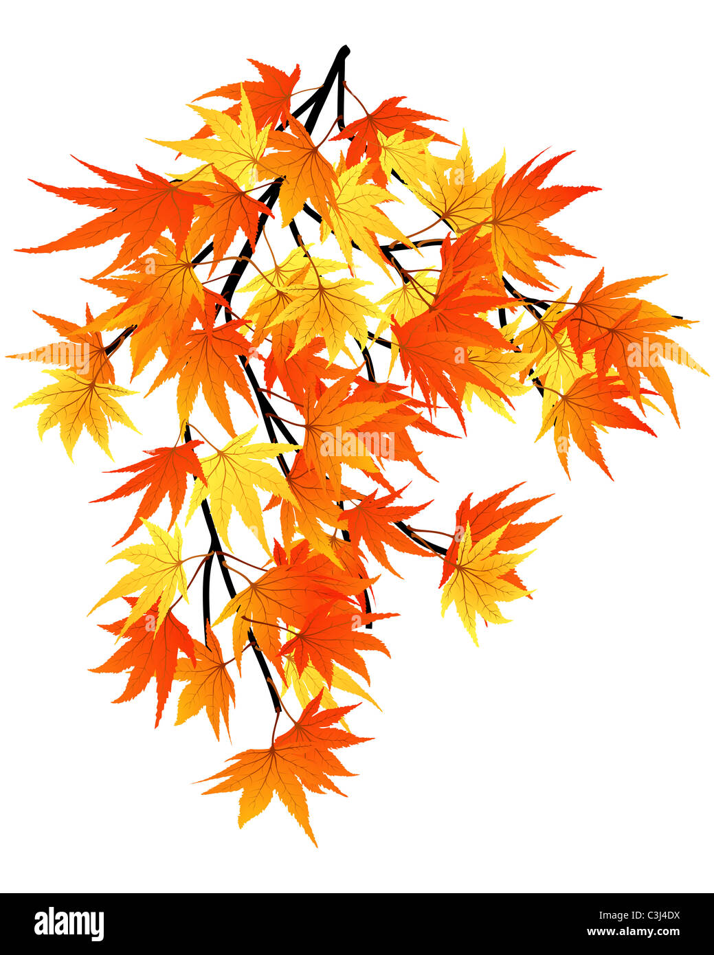 Verdrehte Reihe von Herbst Ahorn Blätter. Vektor-Illustration. Stockfoto Verdrehte Reihe von Herbst Ahorn Blätter. Vektor-Illustration. Stockfoto