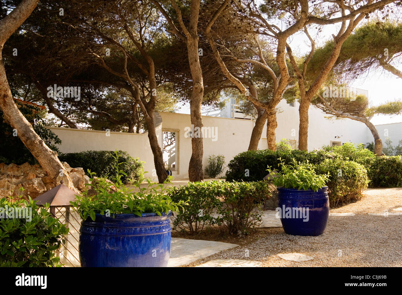Blaue Blumentöpfe in Kiesweg der provenzalischen Haus Stockfoto