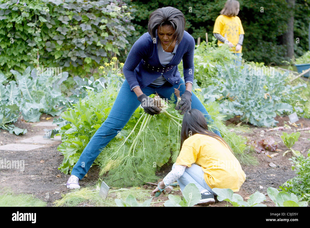 USFirst Lady Michelle Obama beherbergt eine HerbstErnte von das Weiße
