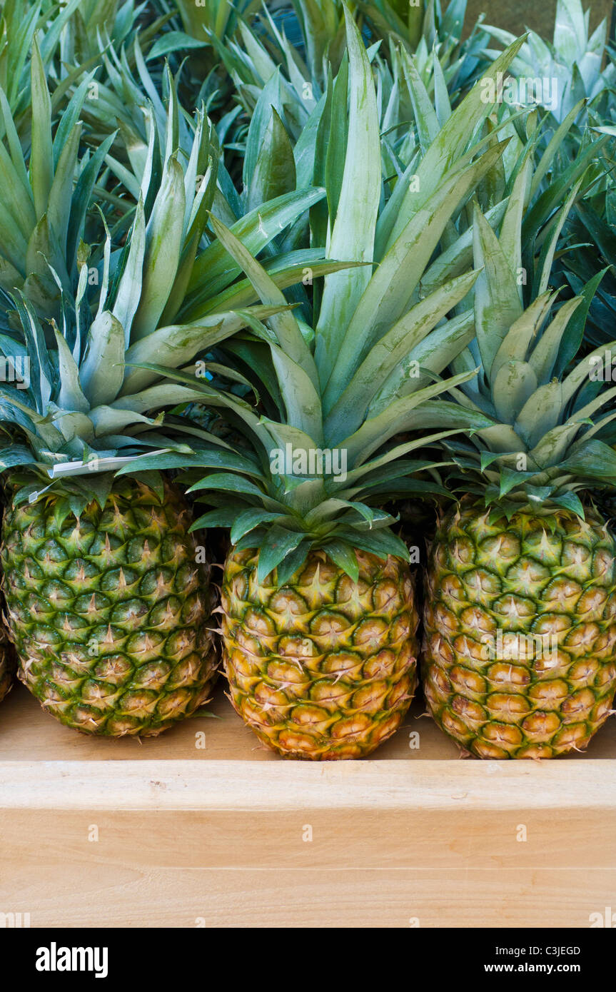 Brooklyn, Ananas am Markt Stockfoto