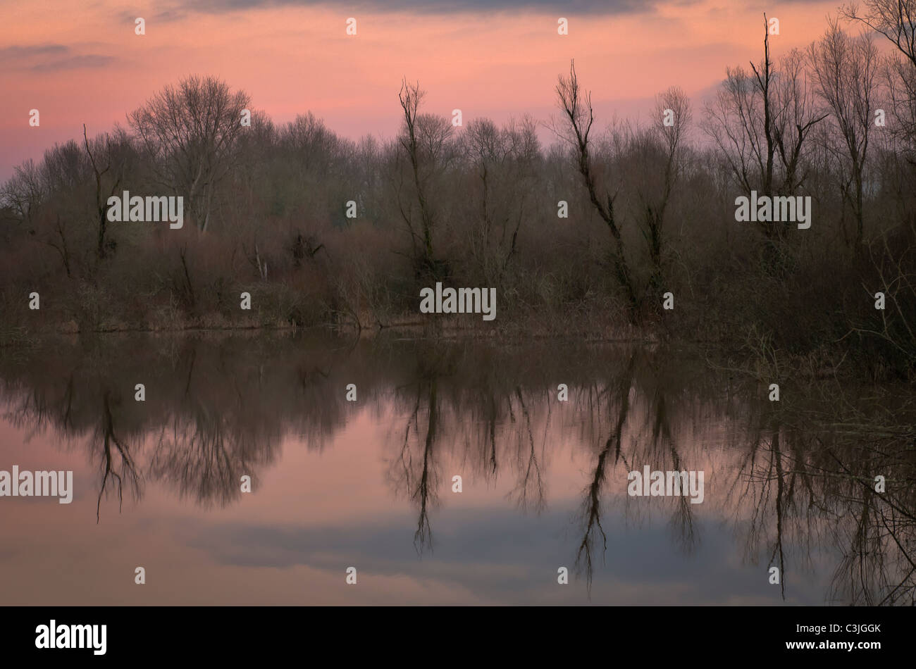 USA, Oregon, kahlen Bäumen spiegelt im See bei Sonnenaufgang Stockfoto