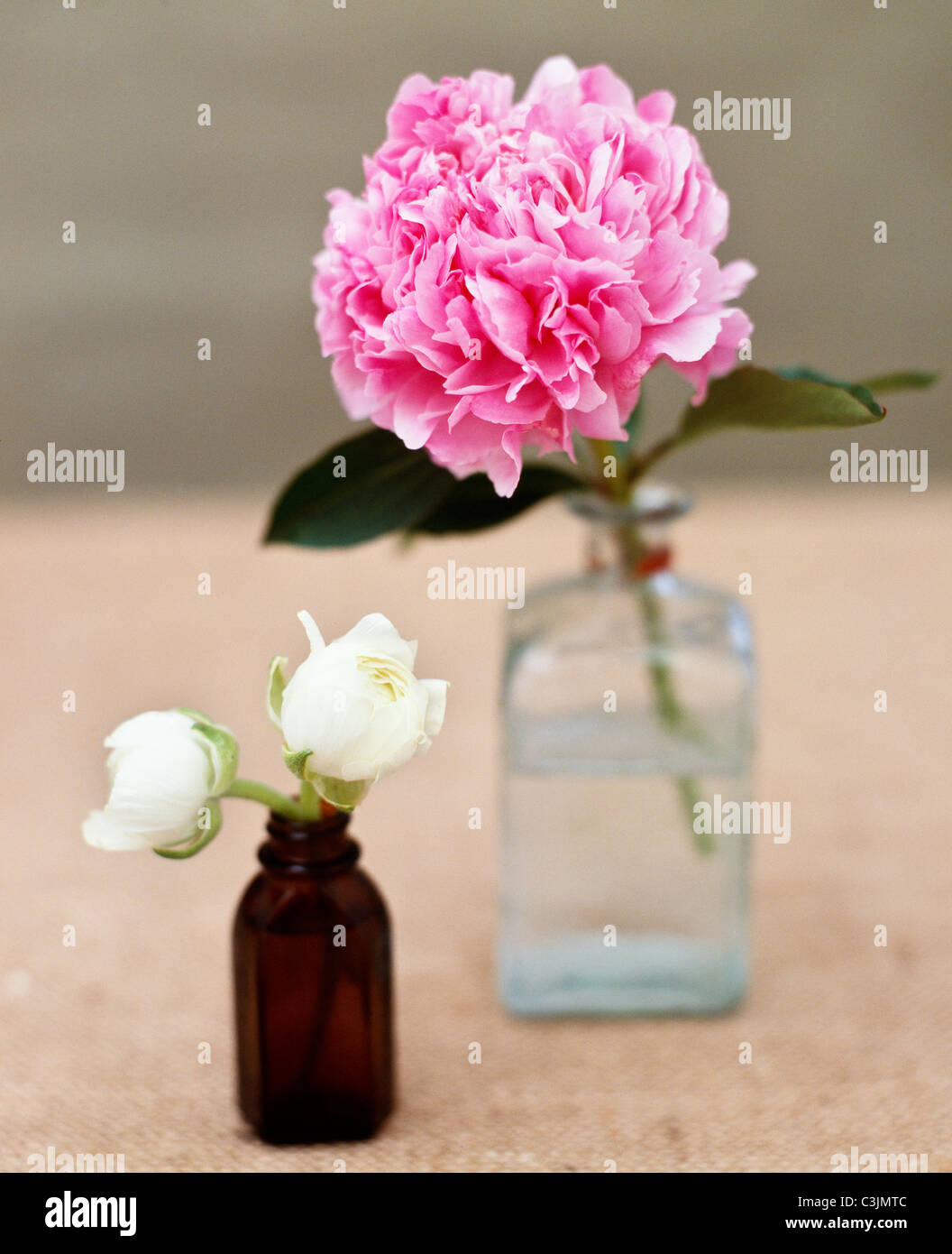 Blumen in Gläsern, Stockfoto