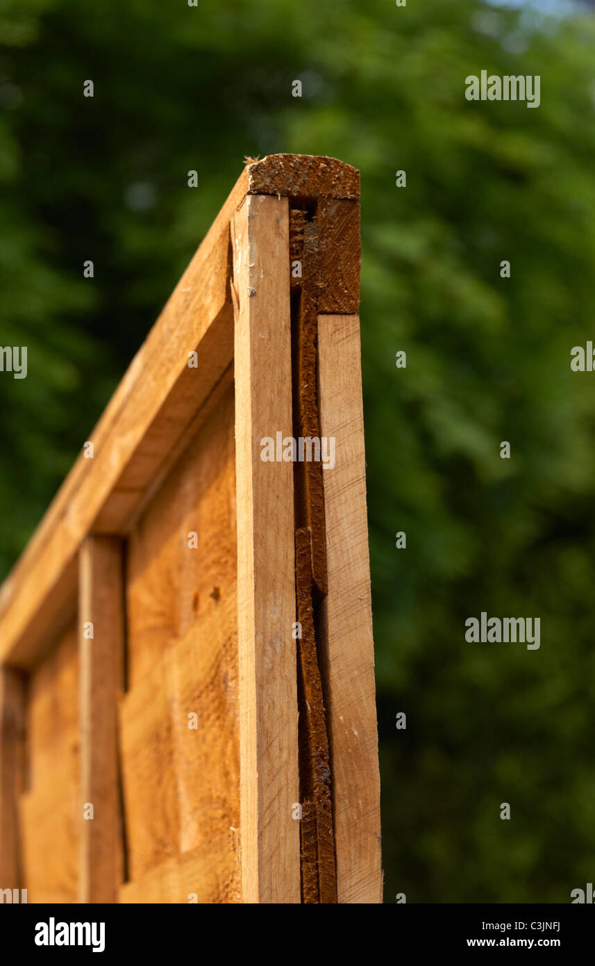 neu errichtete neue Holzplatte Zaun aufgestellt zwischen benachbarten Gärten Stockfoto