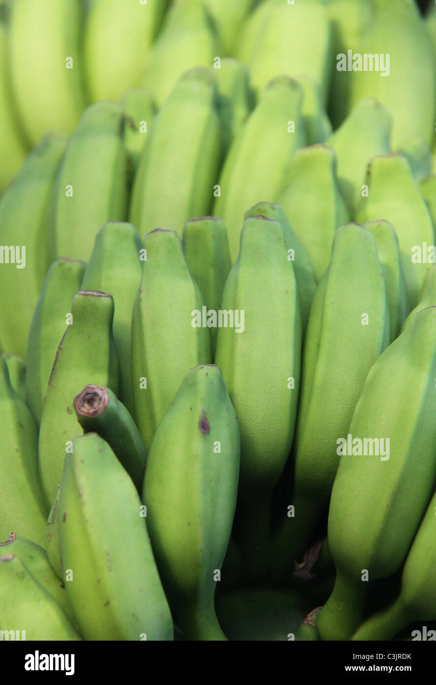 Banane Stockfoto