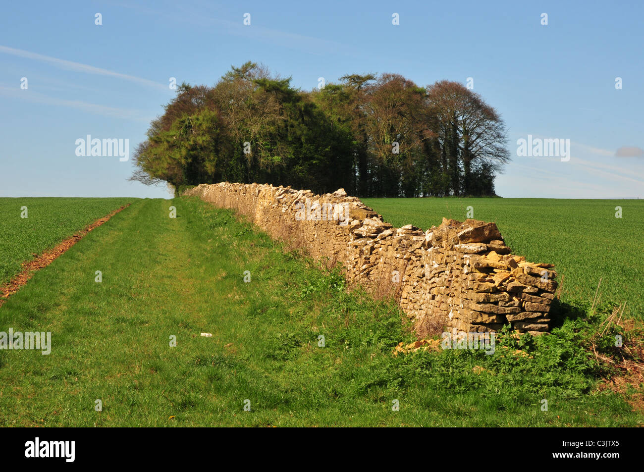 Trockenmauer in Feldern in der Nähe von Lower Slaughter, Gloucestershire Stockfoto
