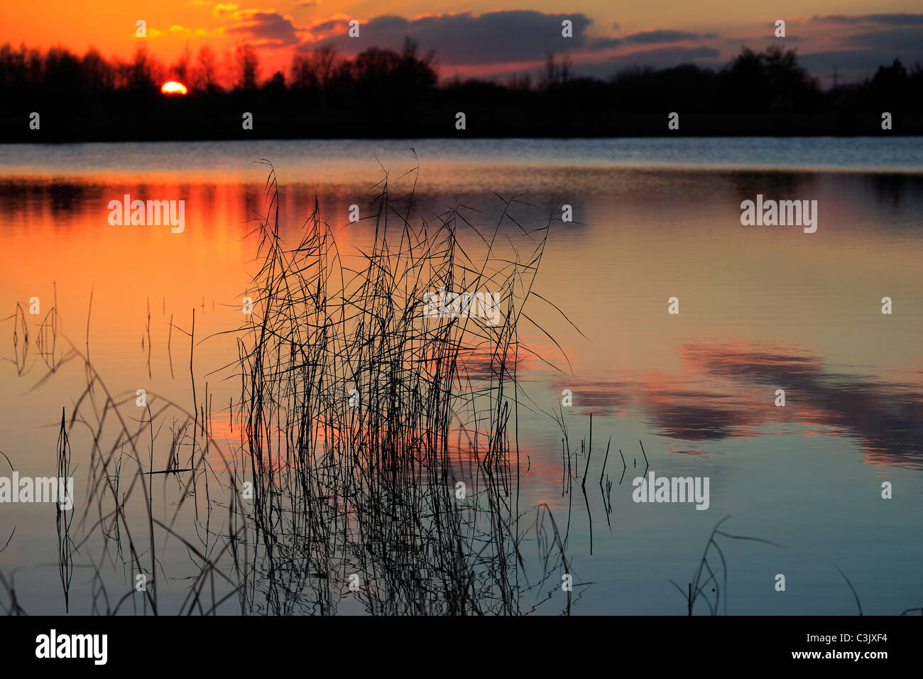 Sonnenuntergang Fenland Abfluss Wasserstraße Cambridgeshire Fens England UK Stockfoto