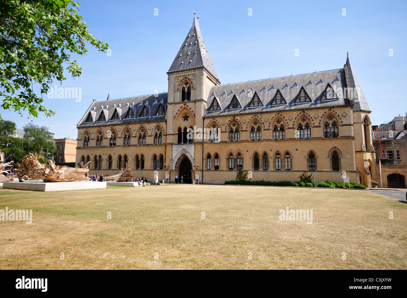 Oxford University Museum of Natural History, Parks Road, Oxford, Oxfordshire Stockfoto