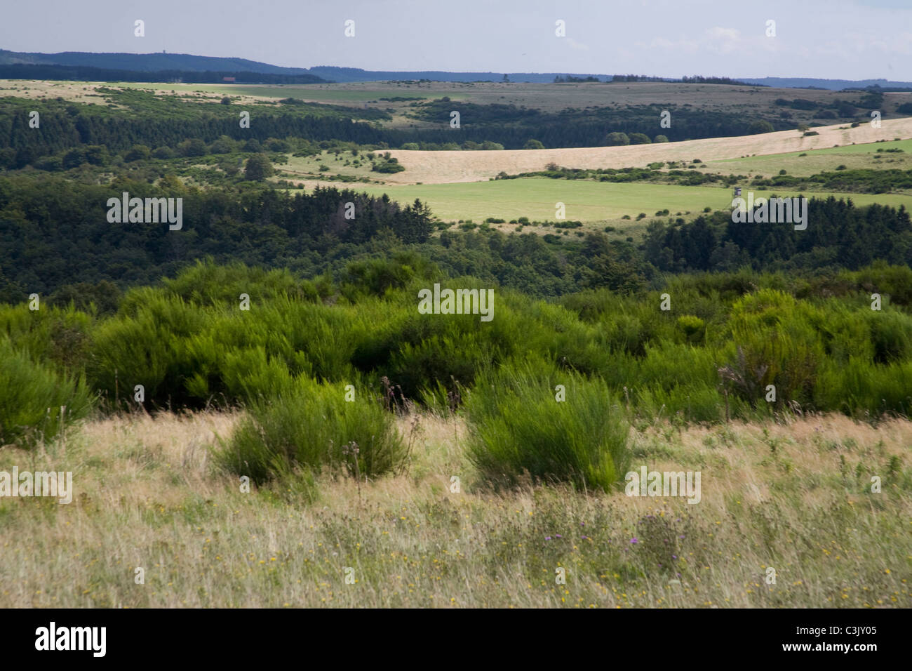 Dreiborner Hochflaeche, Dreiborner Hochebene, Nationalpark Eifel, Nationalpark, Deutschland, Deutschland Stockfoto