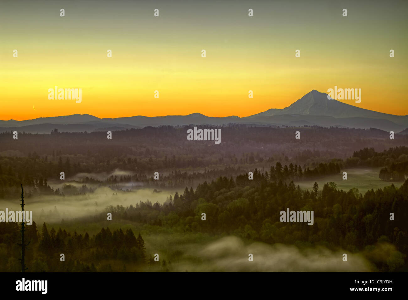 Sonnenaufgang über dem Mount Hood einen nebligen Morgen entlang Sandy River Bend Stockfoto