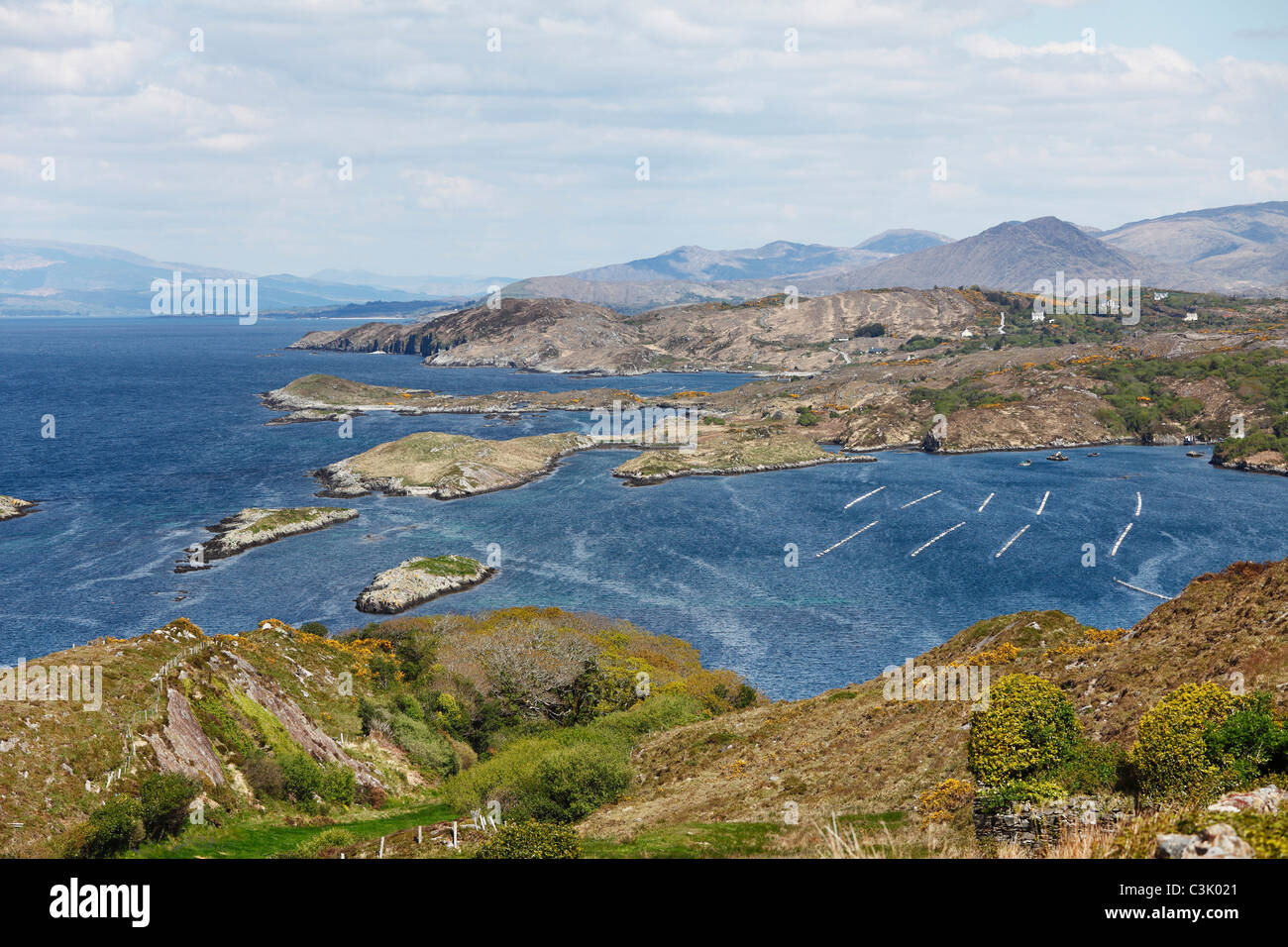 Irland, Cork, Blick auf Beara Halbinsel mit Cleanderry Hafen Stockfoto