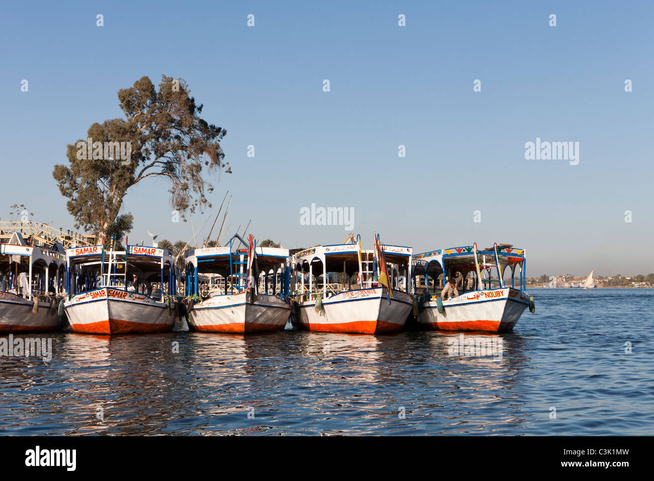Ankern hintereinander Nilwasser taxis lackiert weiß und orange gerichtete Kamera spiegelt sich im Wasser mit Baum hinter Ägypten Stockfoto