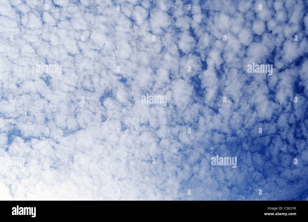 Makrele Himmel; Cirrocumulus-Wolken am blauen Himmel über Atlantik-Küste in der Nähe von Etretat; Cirro Cumulus; flauschige Wolken, Schäfchenwolken Stockfoto
