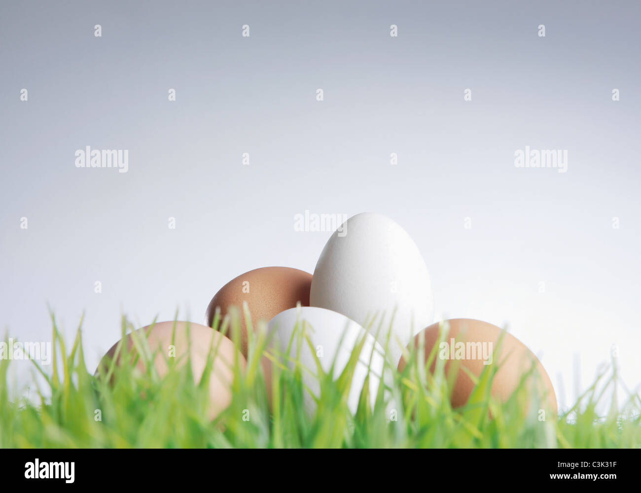 Weißen und braunen Eiern mit grass Stockfoto
