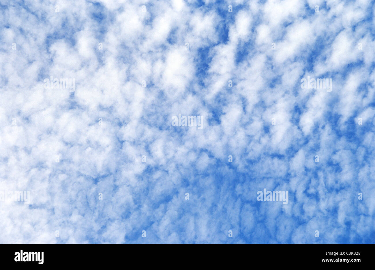 Makrele Himmel; Cirrocumulus-Wolken am blauen Himmel über Atlantik-Küste in der Nähe von Etretat; Cirro Cumulus; flauschige Wolken, flauschige Wolke Stockfoto