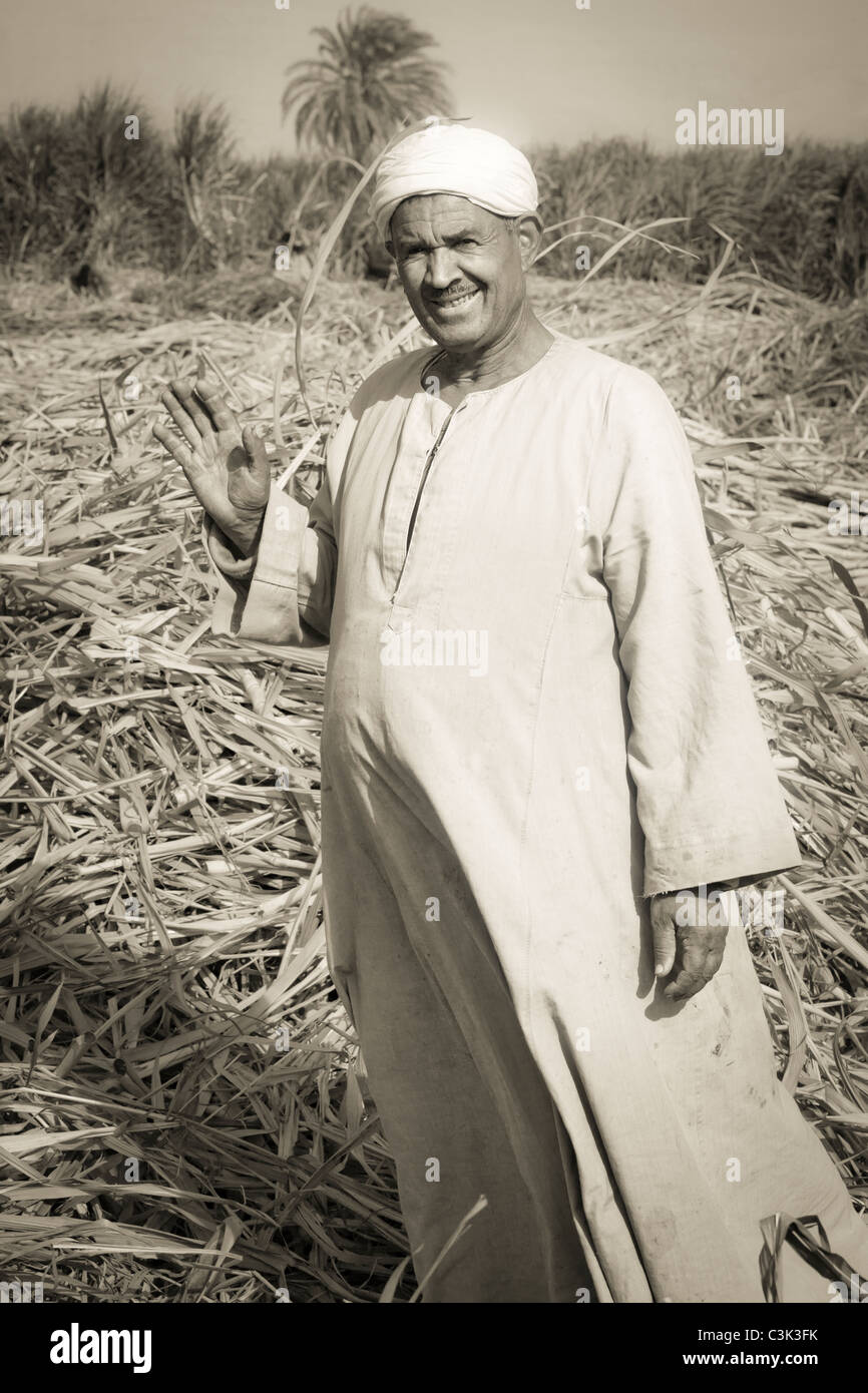 Sepia Porträt des ägyptischen Landarbeiter in einer geschnittenen Zuckerrohrfeld winken für Kamera, Ägypten, Afrika Stockfoto