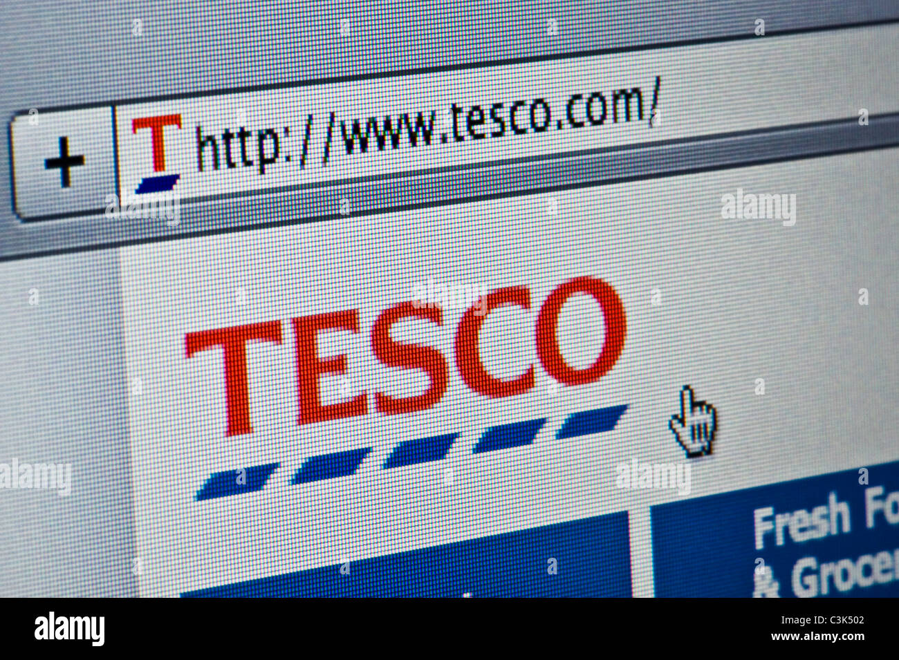 Nahaufnahme von Tesco-Logo auf ihrer Website gesehen. (Nur zur redaktionellen Verwendung: print, TV, e-Book und redaktionelle Webseite). Stockfoto