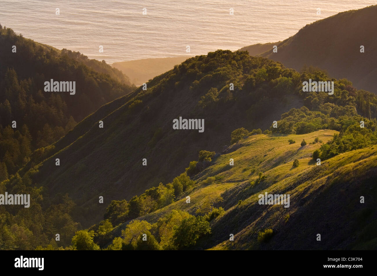 Schroffe steile Hügel über dem Ozean, Ventana-Wildnis, Los Padres National Forest, Big Sur Küste, California Stockfoto
