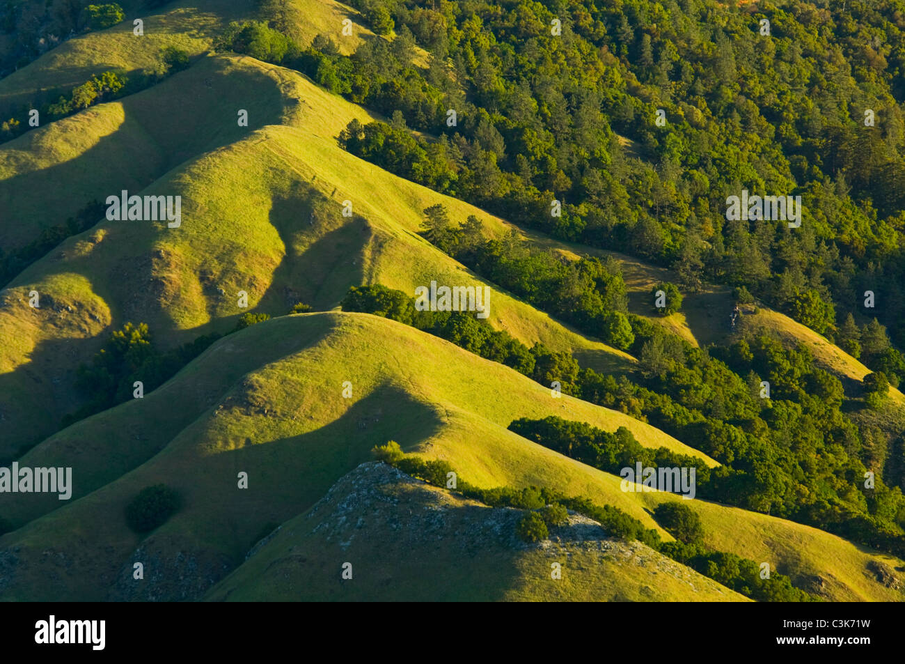 Steilen schroffen grünen Hügeln im Frühling, Ventana-Wildnis, Los Padres National Forest, Monterey County, Kalifornien Stockfoto