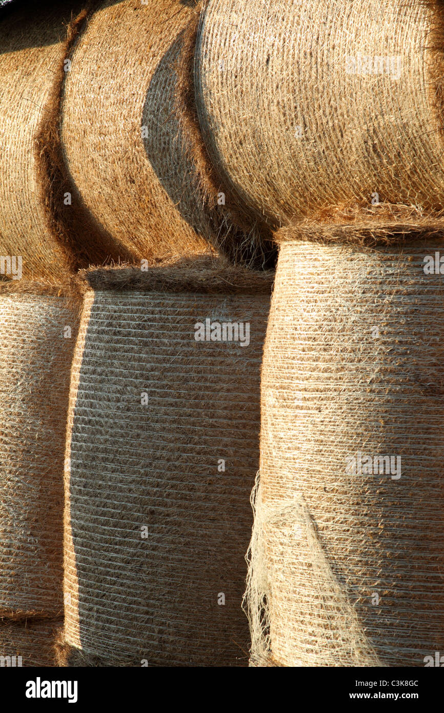 Große Runde Heuballen in der Scheune gelagert Stockfoto