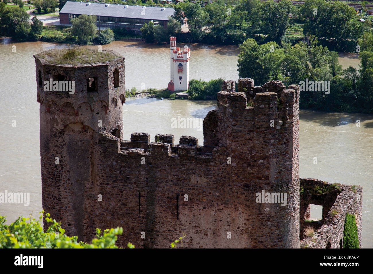 Europa, Deutschland, Hessen, Oberes Mittelrheintal, Bingen, Ansicht von Ehrenfels Castle in der Nähe von Maus-Turm auf dem Rhein Stockfoto