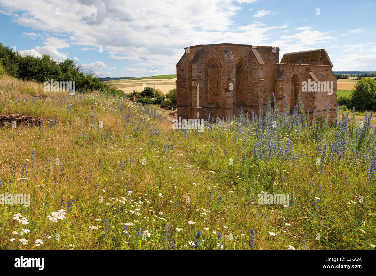 Europa, Deutschland, Rheinhessen, Ansicht der Beller kirche Stockfoto